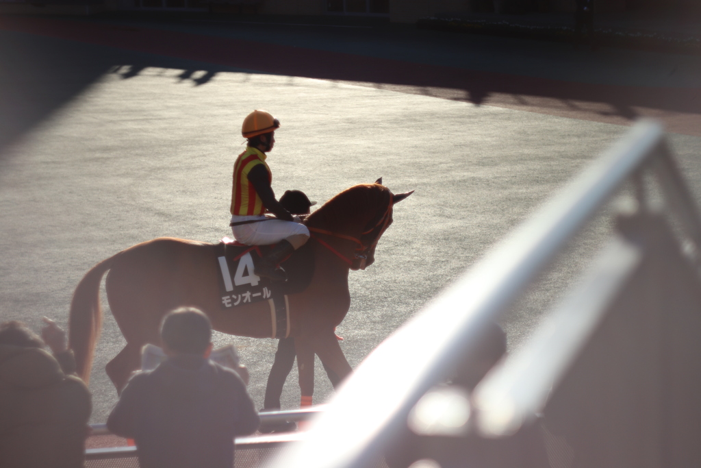 パドック　中京競馬場にて⑤