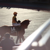 パドック　中京競馬場にて⑤
