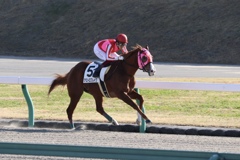 中京競馬場にて①