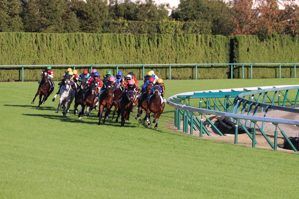 最終コーナー　中京競馬場にて④