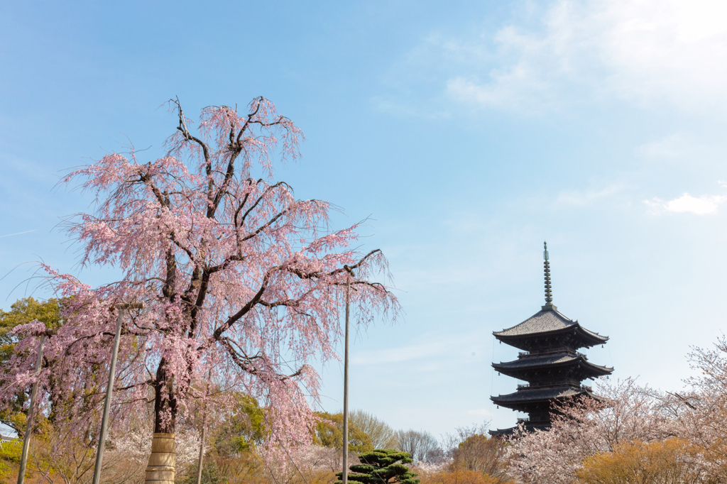 東寺