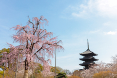 東寺