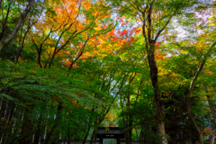 地蔵院