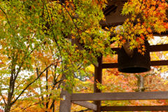 常寂光寺
