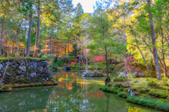 西芳寺３