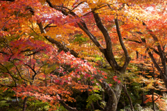 宝筐院