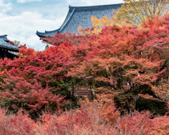 東福寺