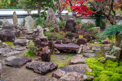 少し遠い太山寺への散歩−１