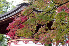 高野山４