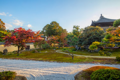 _6070534-Edit-3