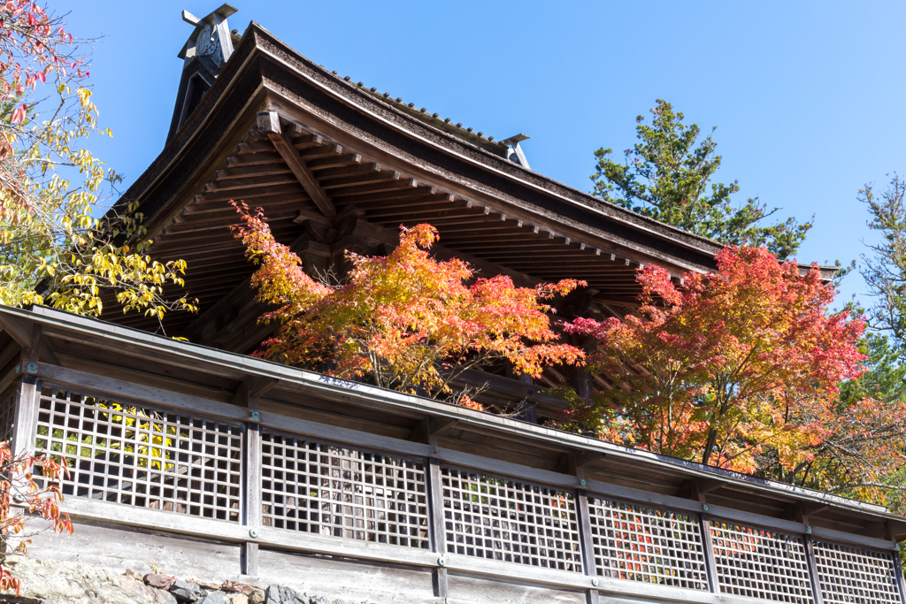 高野山５
