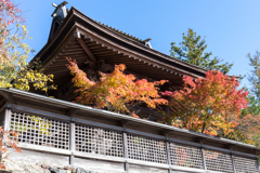 高野山５
