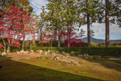 閻通寺