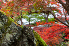 宝厳院