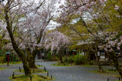 常照寺２