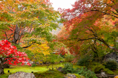 宝厳院　−２