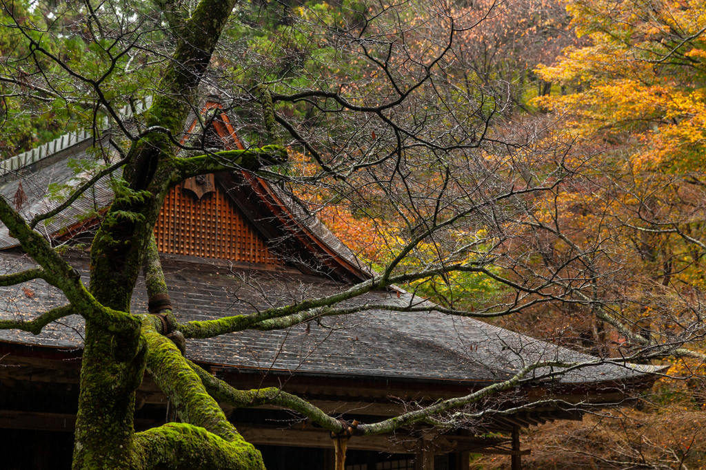 三千院