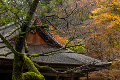 三千院