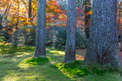 三千院