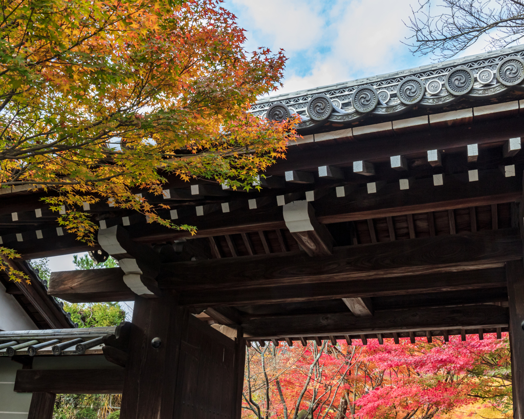 龍安寺１