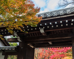 龍安寺１