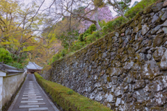 善峯寺　阿弥陀堂への道