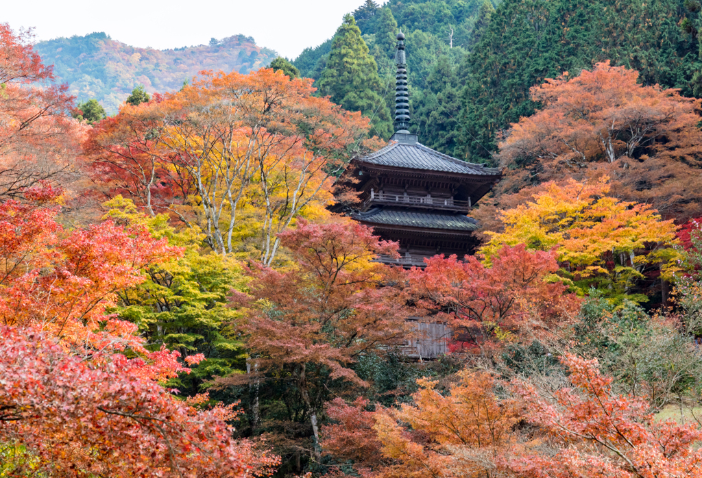 丹波高源寺