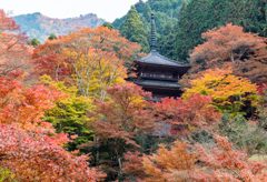 丹波高源寺