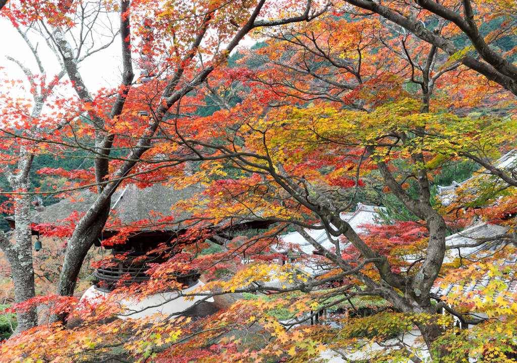善峯寺