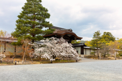仁和寺２