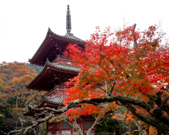 少し遠い散歩−２