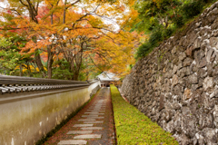 善峯寺　側道