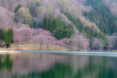 中綱湖
