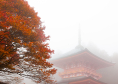 延暦寺