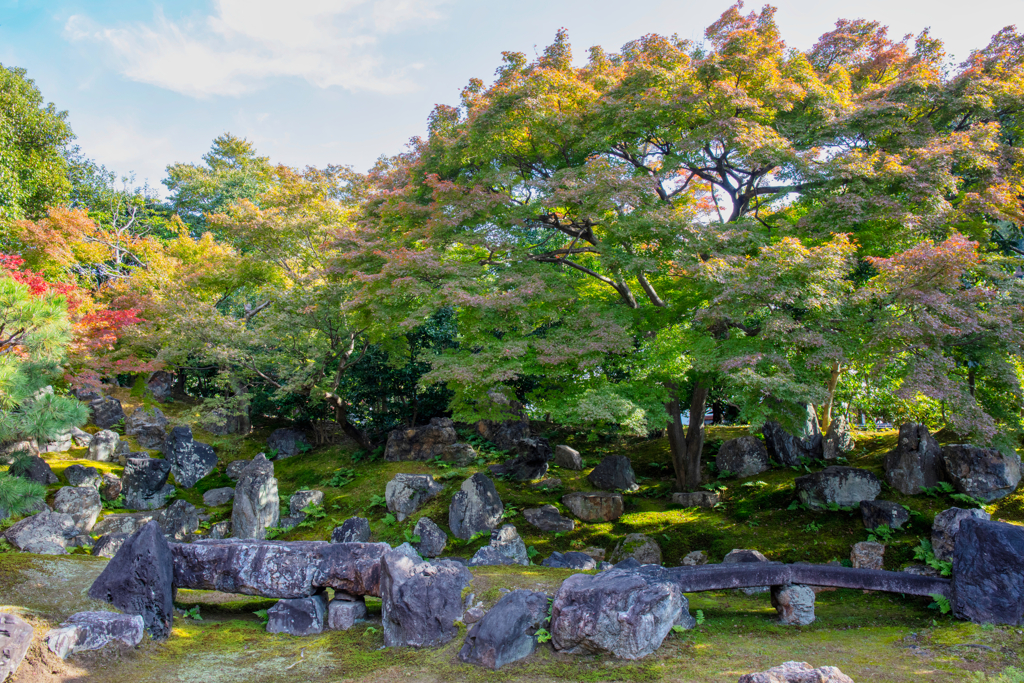 圓徳院