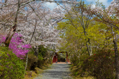 常照寺１