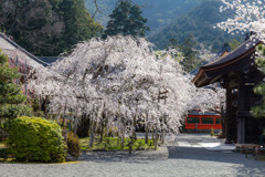 山科　毘沙門堂