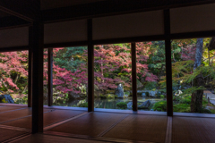 蓮華寺