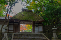 法然院