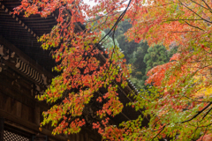 永観堂
