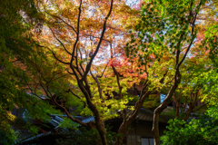 瑠璃光院
