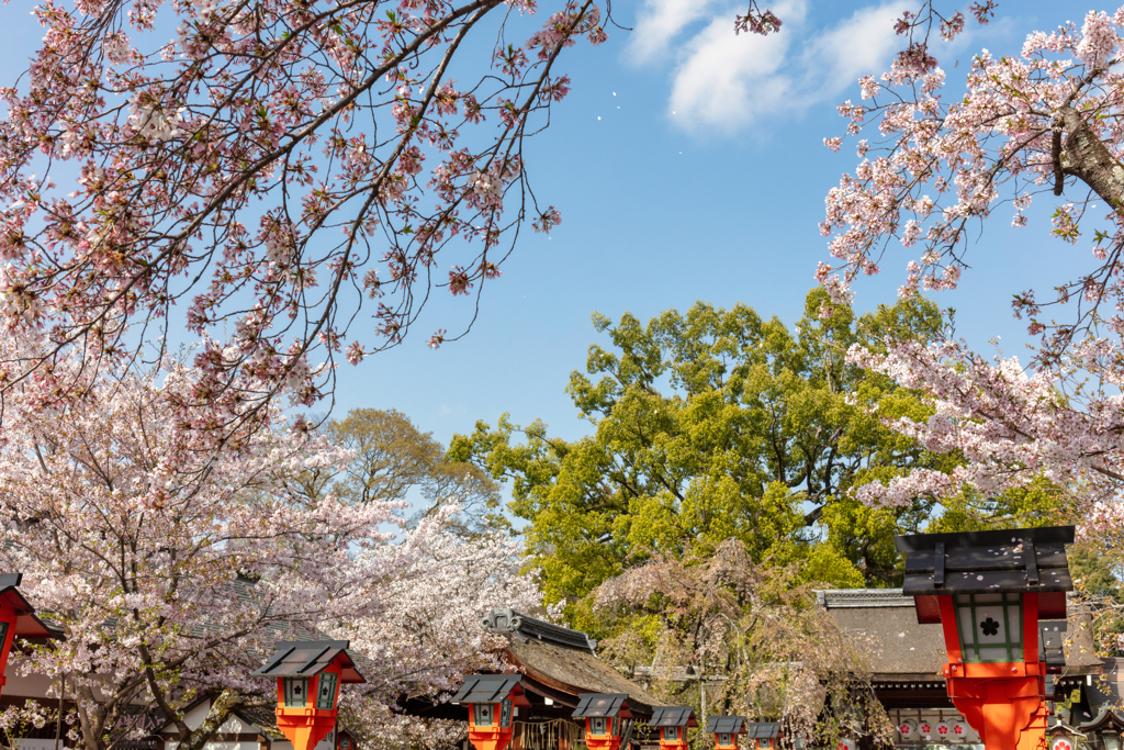 平野神社