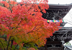 金戒光明寺