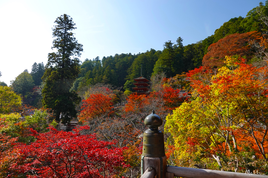 紅葉