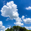 夏空の下