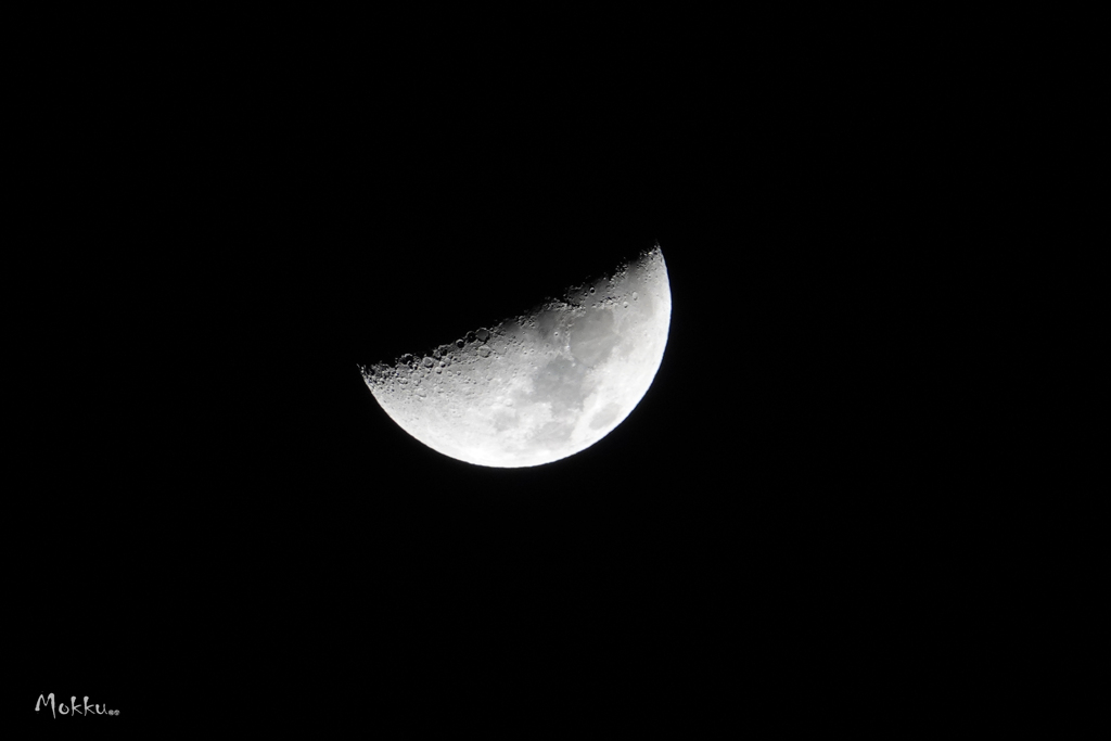 夜の月