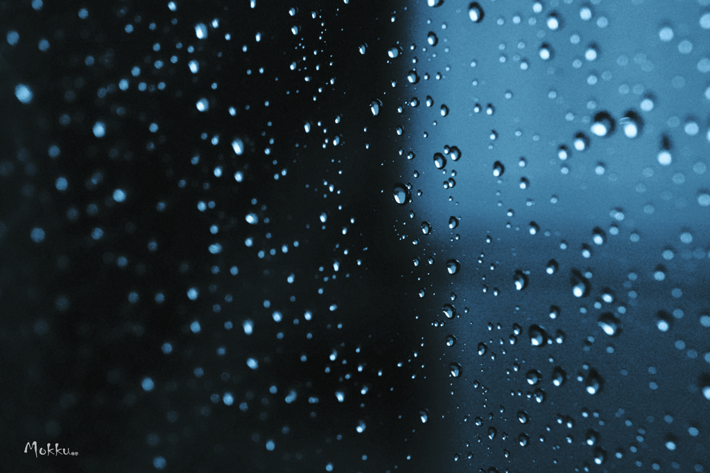 雨