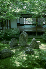 建仁寺潮音庭