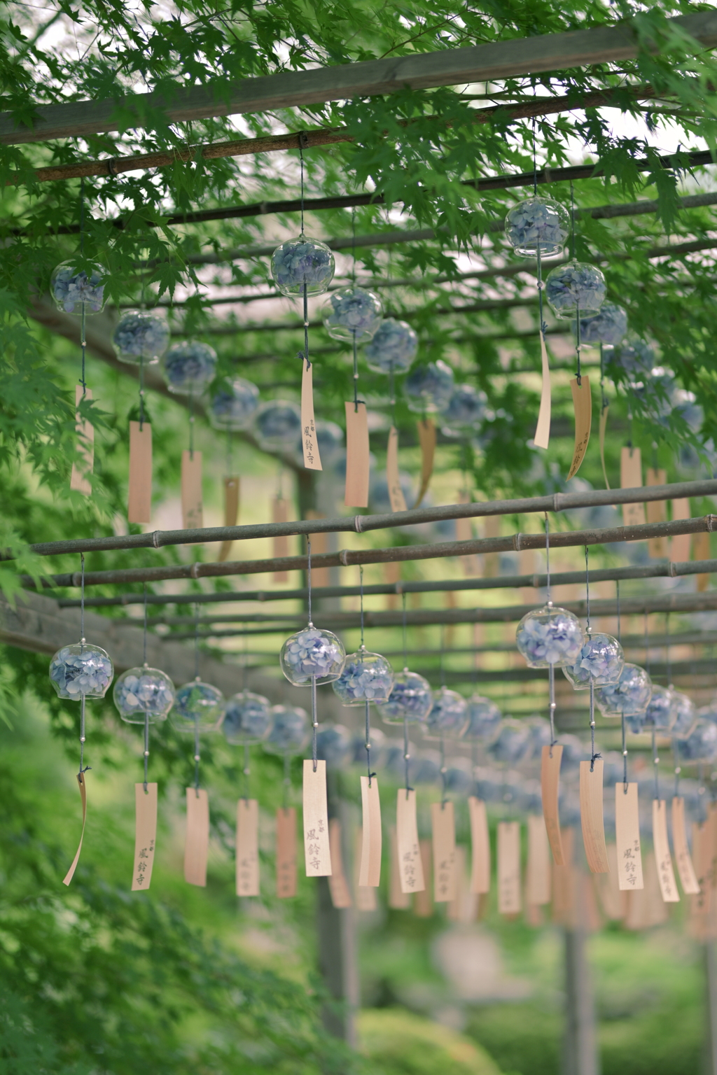 正寿院　風鈴まつり