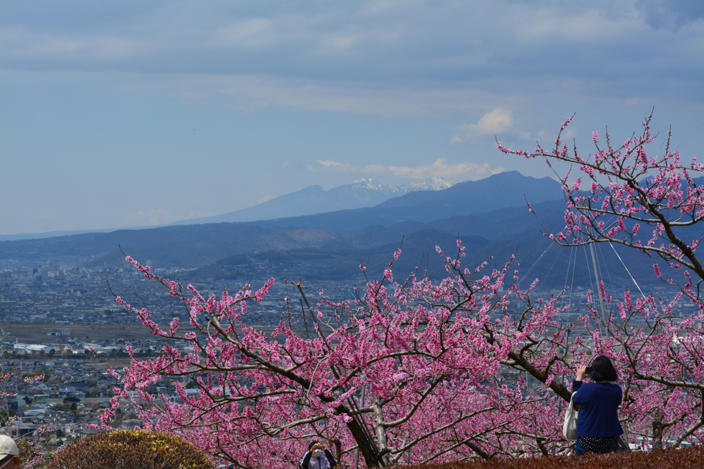 桃ノ木から八ヶ岳を望む
